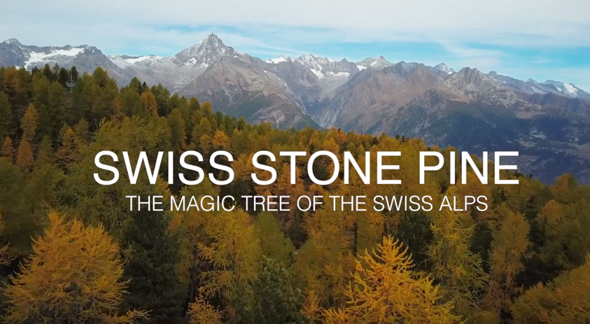 Swiss Stone